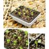 Indoor Propagation Box Greenhouse Propagation Set Tray With Lid And Ventilation