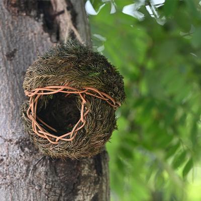 Huisdierbenodigdheden Vogelnest Handgeweven Creatieve Vogelkooi Tuindecoratie