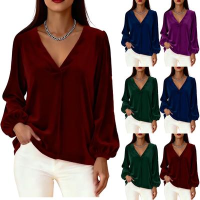 Women's Fashion Long Sleeve Casual Velvet Blouse