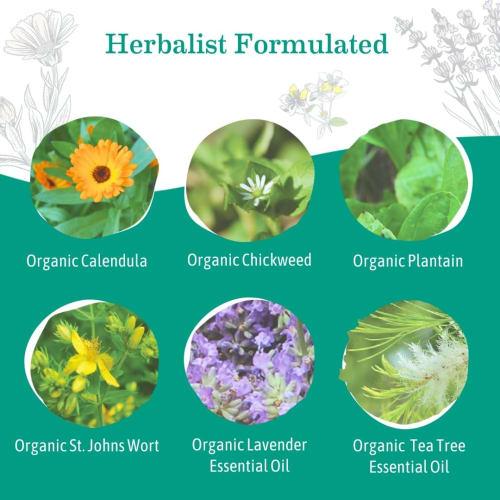 Earth Mama Angel Baby Bottom Balm