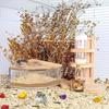 Hamster Bathroom House Small Pet Bath Container Hamster Anti-Spill Sand Bath Shower Room Toilet Pet Anti-Spill Bathtub Box