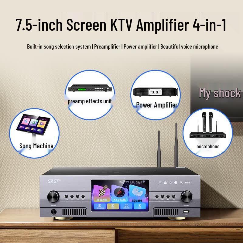 SAST LV-12 Karaoke Home Theater System (CN version)