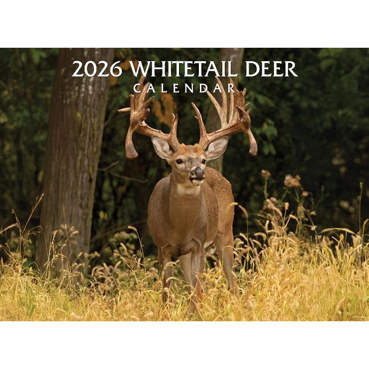 2026 Whitetail Deer Wall Calendar