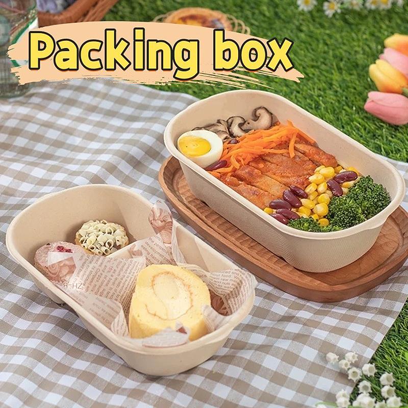 10/50 Stück Ovale Bagasse-Boxen aus Zuckerrohr Umweltfreundliche biologisch abbaubare Lebensmittelbehälter mit PET-Deckel