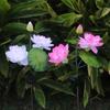 LED Solar Lotus Flowers Lights Outdoor Waterproof Landscape Lamp Cold White for Garden Porch Lawn Backyard Decoration Solar Lamp