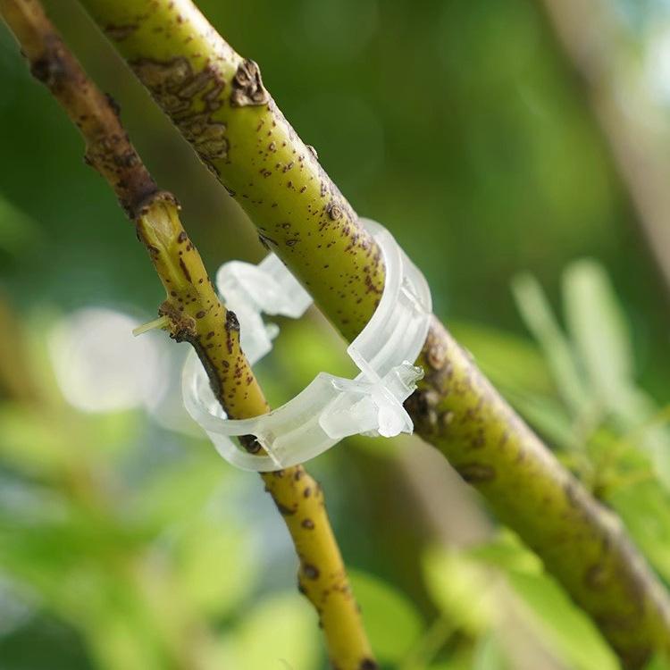 Plant Clip/vine Clip/plastic Vine Clip/branch Clip/vine Clip/vine Holding Clip