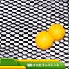 Golf Net, Golf Practice Net, Hitting Practice Equipment, Golf Training, Home Golf, Backyard Golf, 2.1 X 1.5 X 0.9m, Portable, with Carrying Bag