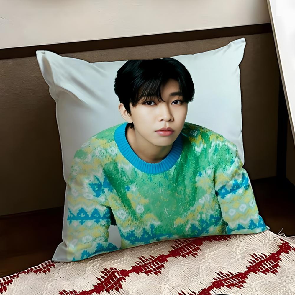 LLim Young WWoong Cushion Cover Reversible Soft Durable Pillow Cover Home Car MultiScene Use for Daily Comfort