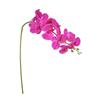 Latex Phalaenopsis, 1/3/5/10 Pack, Real Touch Artificial Mini Phalaenopsis, Good Quality