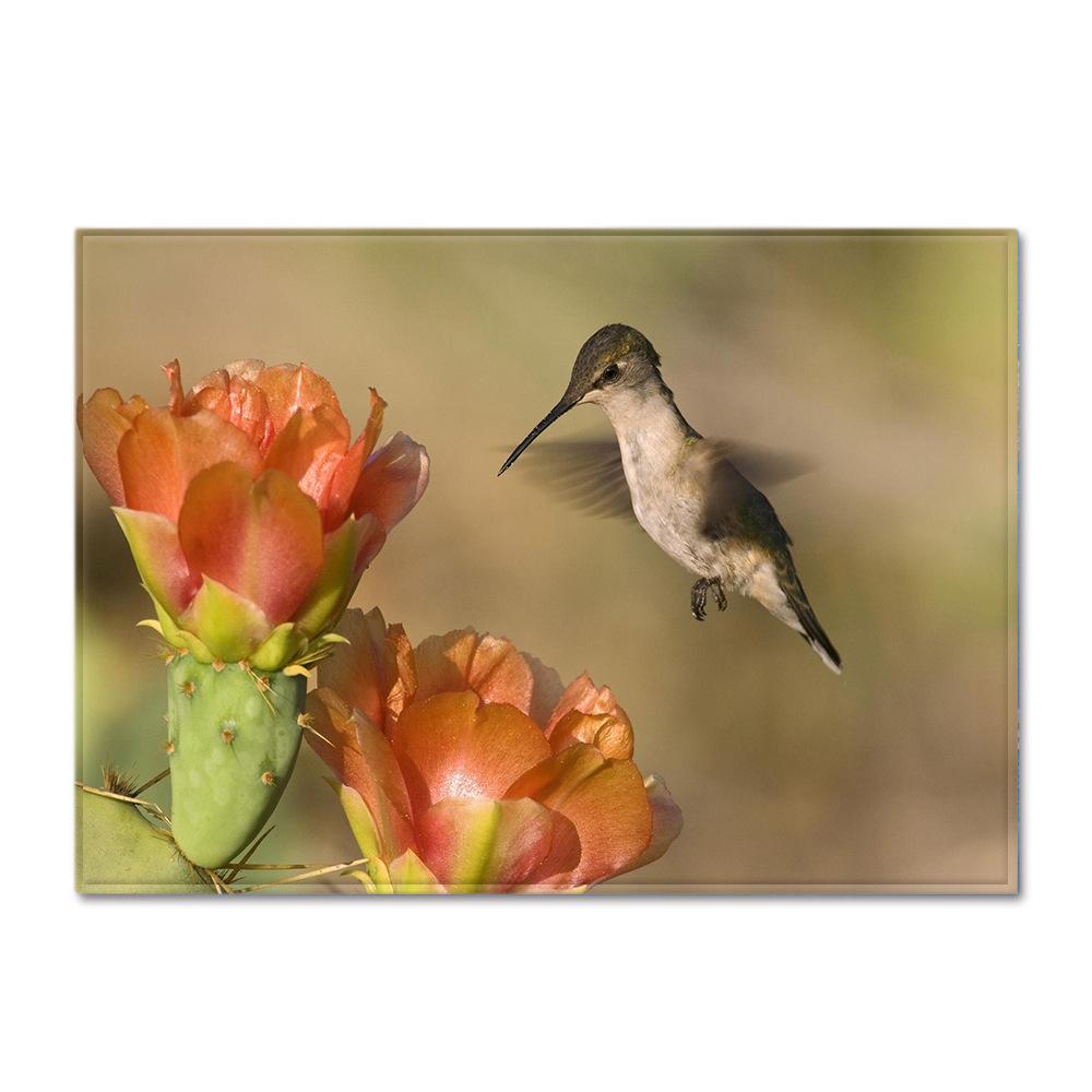 

Animal Large Carpet Feather Wind Bedroom Floor Mat 1.5*1