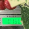 Simulation Of Green Plants Christmas Leaves Red Fruit Wreath Vine Ring Indoor Living Room Atmosphere Decoration 45cm