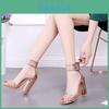 Elegant Ankle Strap Sandals With High Heels And Clear Chunky Block For Women