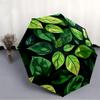 1pc Leaf Nature Automatic Open/Close Umbrella with One Touch Button,, Windproof Design   Lightweight Portable Umbrella for Women & Men6137