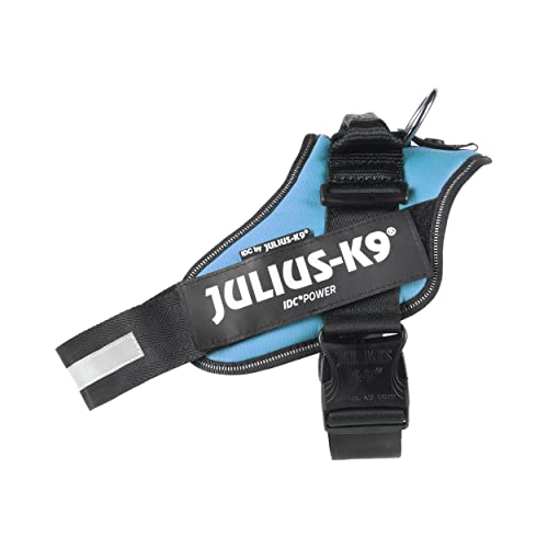 IDC Power Harness, Size: L/1, Aquamarine
