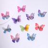 10pcs Colorful Gradient Double-layer Organza Butterfly Hair Clips with Rhinestones, Cute Princess Hair Accessories