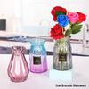 European Glass Vase for Fresh or Dried Flowers - Simple, Creative Home Decor Ornament
