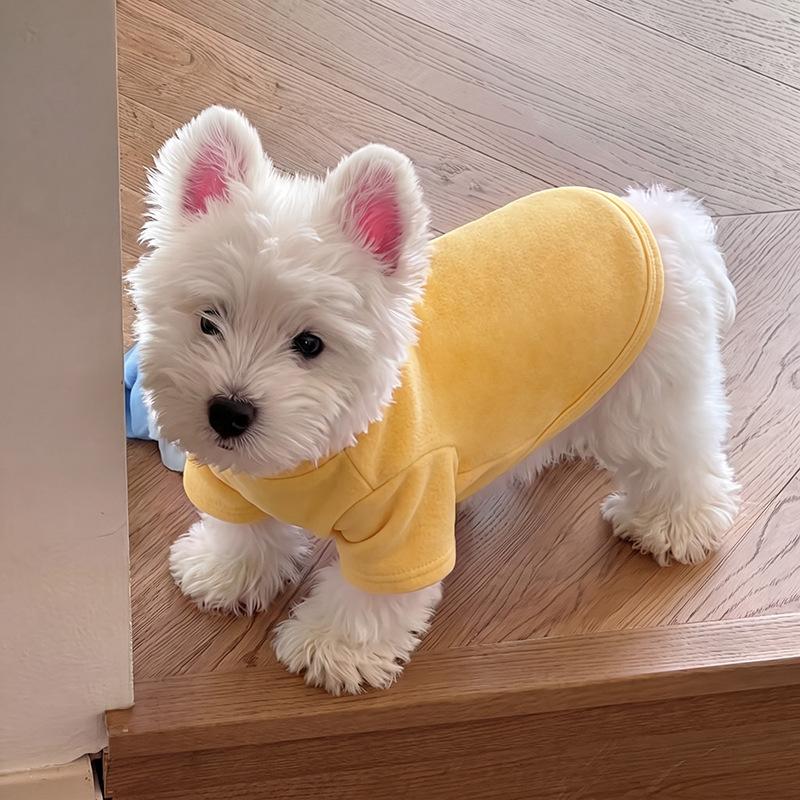 Dog clothes autumn and winter than bear teddy puppet small dog cat pet anti-hair German velvet two feet bottoming pajamas