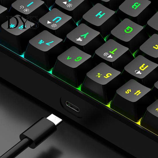 PC-Tastatur Kabelgebunden Mechanisch Gaming RGB-Licht Design 61 Tasten Kompakt Leicht Computer Büro