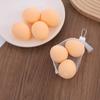 Persimmon Stress Relief Squeeze Toy - Slow Rebound Decompression