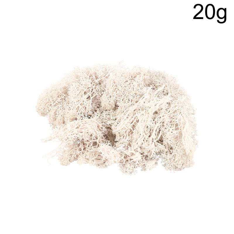 20g Artificial Preserved Moss Eternal Life Green Grass for DIY Crafts Mini Landscape Living Room Home Garden Decoration Supplies