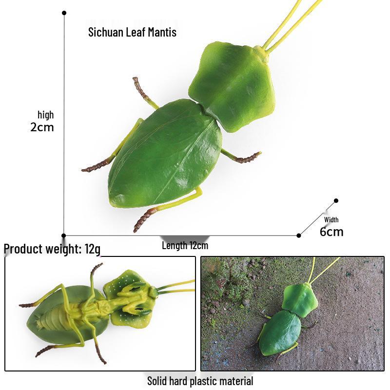 Praying Mantis Model Toy: Educational Insect Display for Kids