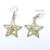 Eternal Flower Resin Dangle Earrings with Real Dried Flowers and Butterfly Star Design for Women