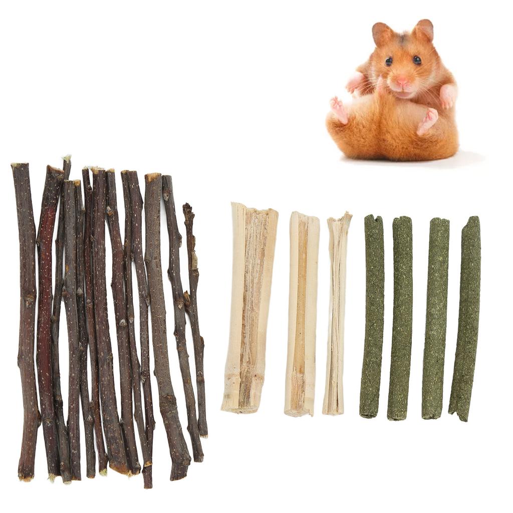 Hamster Chew Toy Set Safe Non Toxic Apple Branch Grass Stick Sweet Bamboo Mixed Molar Sticks