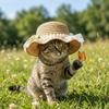 Lace Decor Pet Sun Hat Wide Brim Dog Sun Protection Cap Fashion Pet Straw Hat  Pet Walking