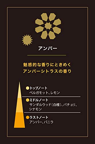 Esteban Amber Interior Fragrance Oil 15ml Air Freshener