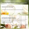 Slek Freesia Fragrance Oil Control Anti-Dandruff Shampoo