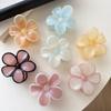 Summer Flower Hair Claw Clips Plastic Egg Flowers Shark Clip Jelly Color Hair Clamps Grab Sweet Women Hair Accessories