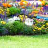 Garden Powder Applicator Dispenser Gardening Tool Easy To Use Pollen Spraying Machine For Kiwis Peach Vegetables Outdoor