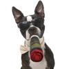 Funny Dog Toys Plush Squeaky Toys For Medium Small Large Cool Stuffed For Dog Birthday Relaxing Toys Pet Supply Resistant Biting