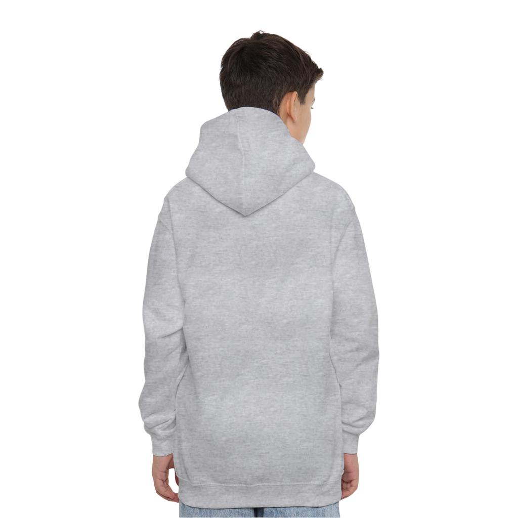 Toy Story Childrens/Kids Birthday Boy Woody & Buzz Lightyear Heather Hoodie