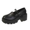Fairy style Mary Jane shoes girl 2025 new thick heel rhinestone Korean version small leather shoes French strap high heels