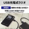 TOSHIBA Pocket Portable Radio with Earphone High Ideal for and TY-SCR5(K) Radio Small, FM/AM Reception, Built-in Speaker, Compatible, Sensitivity,