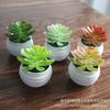 Artificial Succulent Mini Lotus Plant Decor Set Plastic DIY Terrarium Ornament Home Office Desk