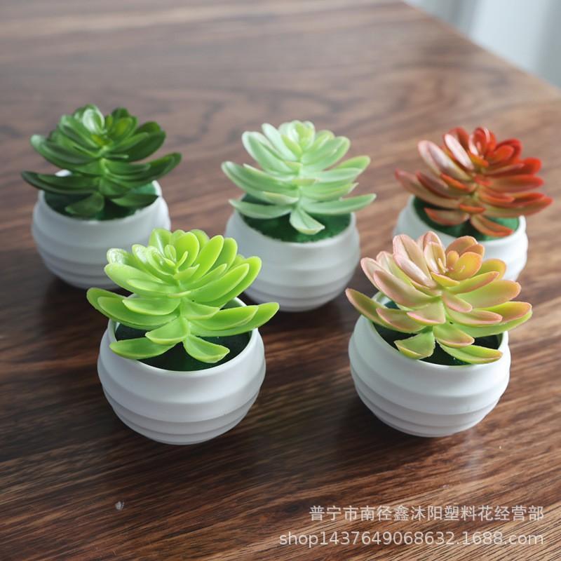 Artificial Succulent Mini Lotus Plant Decor Set Plastic DIY Terrarium Ornament Home Office Desk