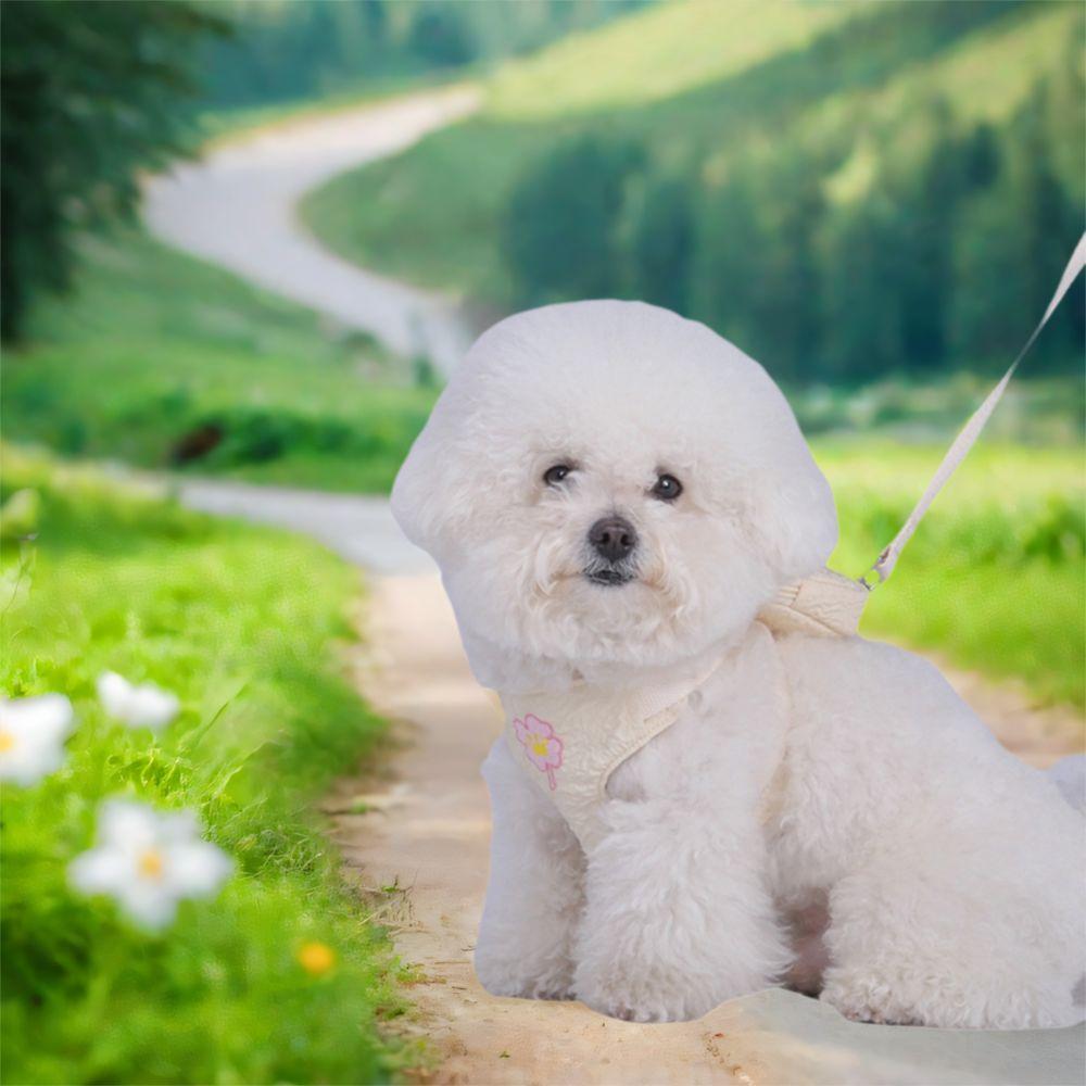 Comfortable Cat Dog Harness Breathable Dog Undershirt Chest Strap  Outdoor Walking