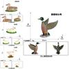 Animal Model Toy Plastic Duck Figurine For Childs Educational Play