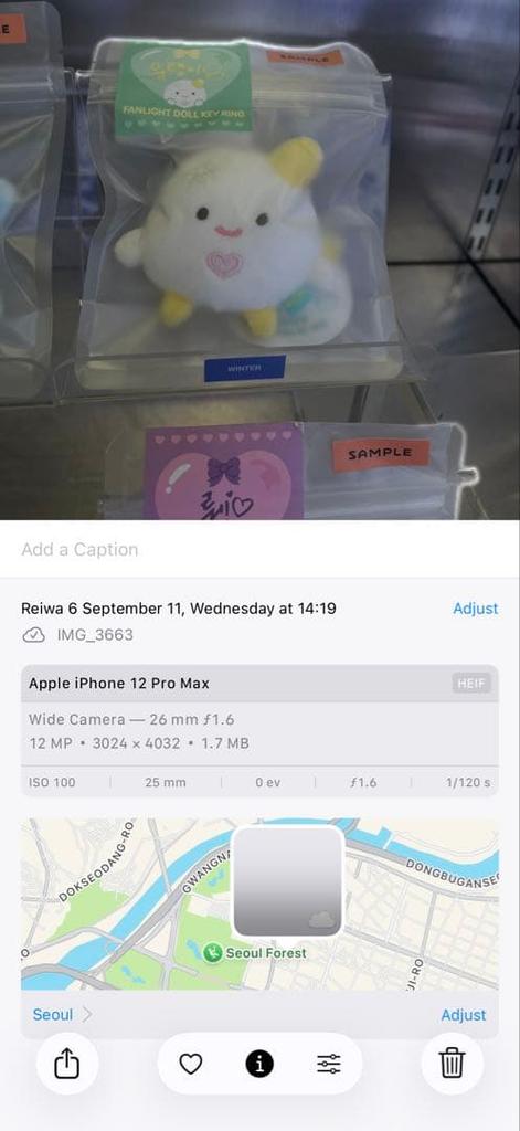 [USED] aespa Fanlight Penlight Doll Keyring Winter