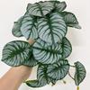 Simulated Plant Fine Workmanship Decorative Realistic Full of Vitality No Watering Decorate Rattan Leaves Long Lasting No Wither Imitation Plant for