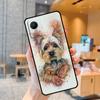 Yorkshire Terrier Dog Case For Realme C55 C33 C31 C35 C30 C11 C15 C25s C21Y GT Neo 5 3T 2T 8 9 10 11 Pro Plus