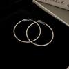 Silver Needle Autumn and Winter Metal Earrings Earrings Niche Fashion Cold Wind Earrings Versatile Light Luxury Premium Earrings