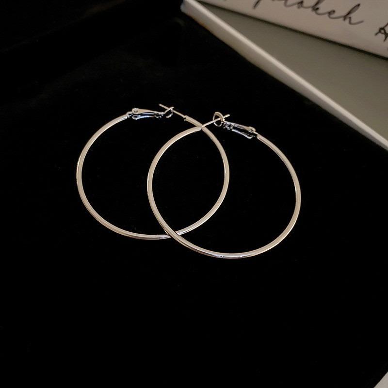 Silver Needle Autumn and Winter Metal Earrings Earrings Niche Fashion Cold Wind Earrings Versatile Light Luxury Premium Earrings