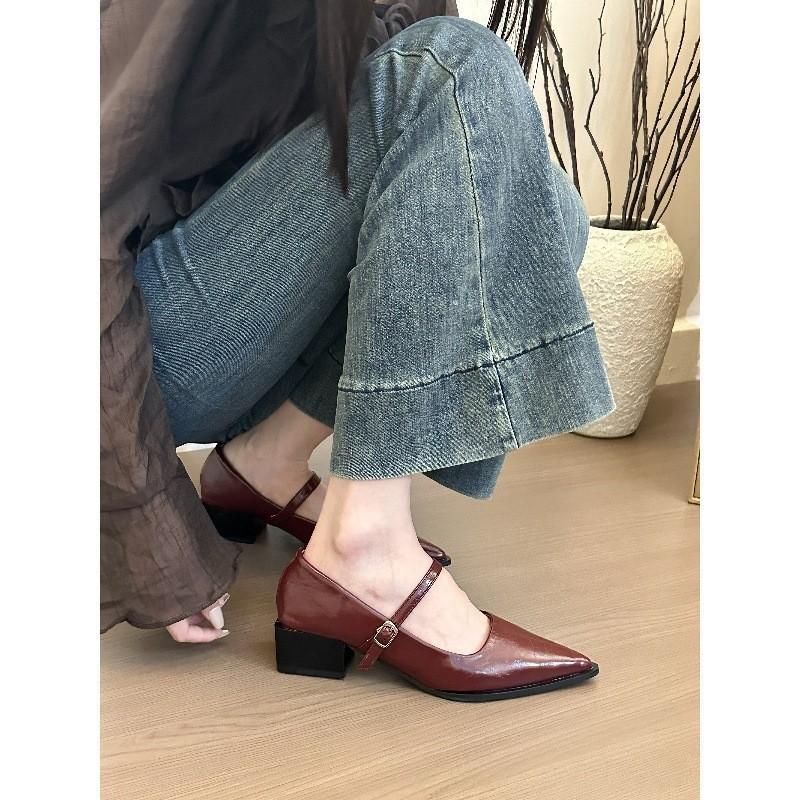 Ernie! Pointed Toe with Thick Heel Single Shoes Women's Spring and Autumn Versatile Commuter Mary Jane Shoes