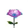 Metal Flower Garden Stake Bird Bath for Outside Freestanding Bath Bowl with Stake Hummingbird Feeder Station for Yard Lawn Garden Decor