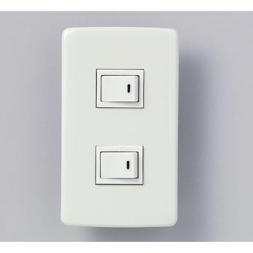 ELPA Elegant One-way Switch X 2 Outlet Wiring DIY 300V 15A B-1955H