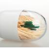 Table Decorate Transparent Plant Animal Toothpick Storage Boxs Dust Toothpick Box Storage Tank