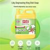 Tempo 4-Ply Small Pack Tissues (12 Packs) with 5kg Degreaser Dish Soap